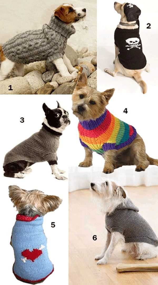 Easy knitting pattern for dog sweater beginner
