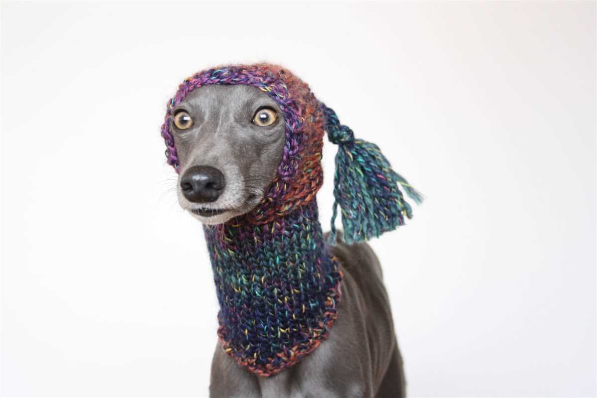 Knitting pattern for whippet snood