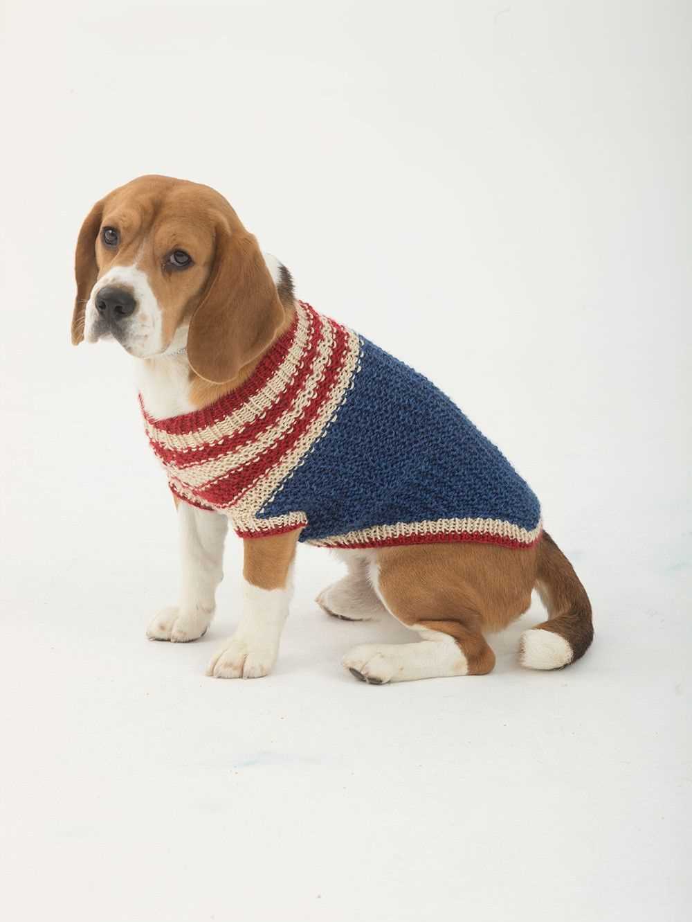 Knitting pattern for english bulldog sweater