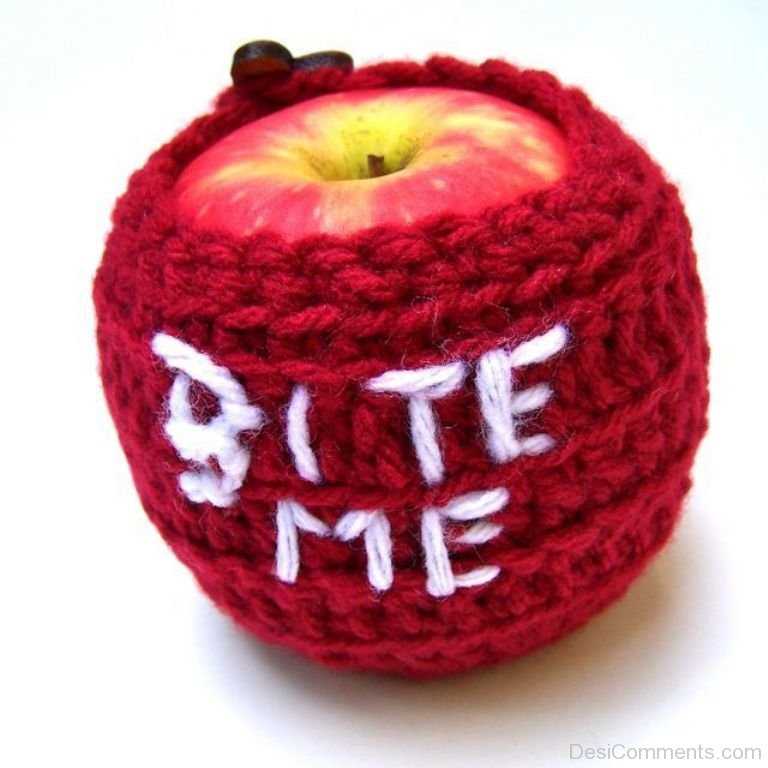 Apple cozy knitting pattern