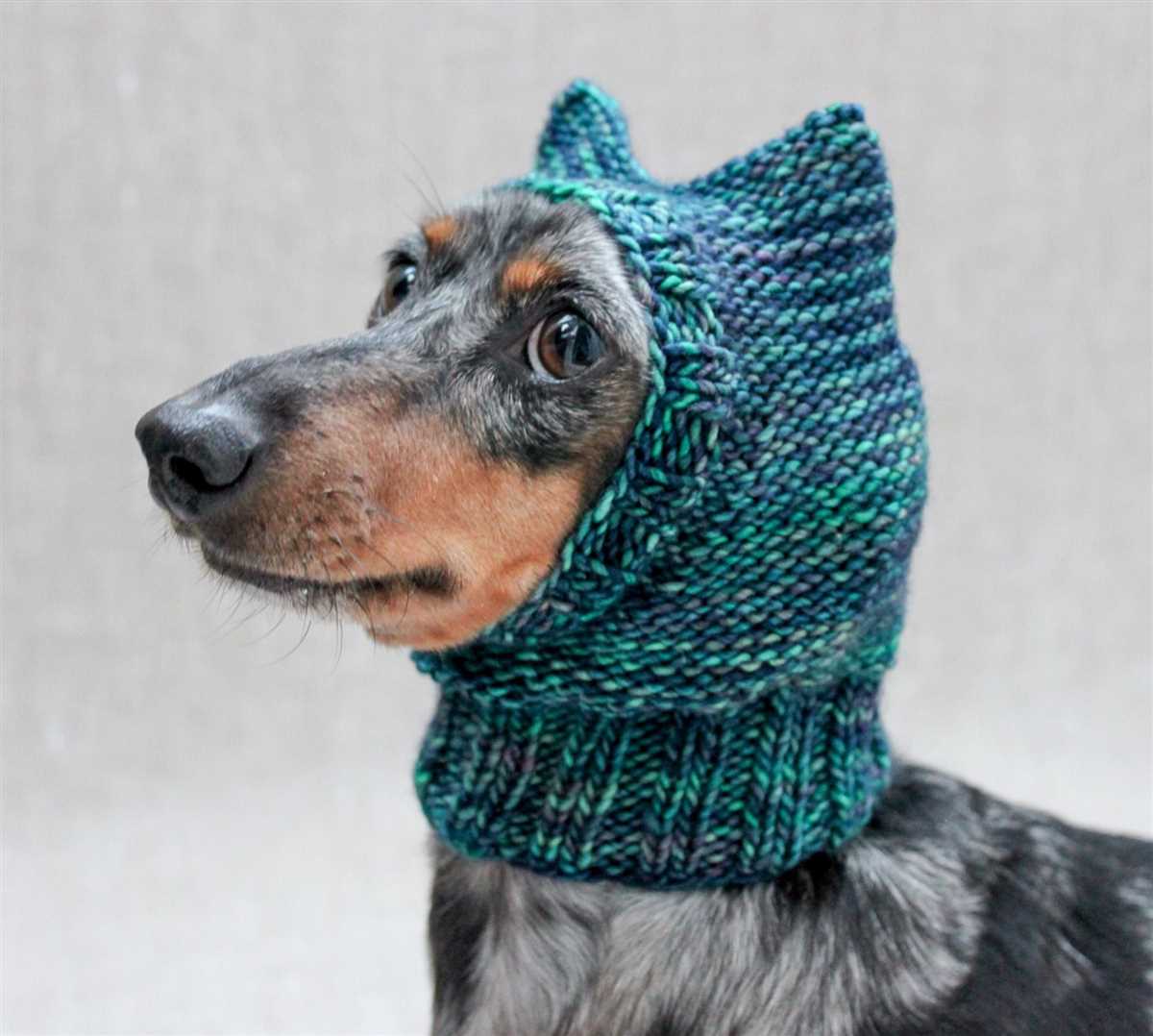 Dog hat knit pattern