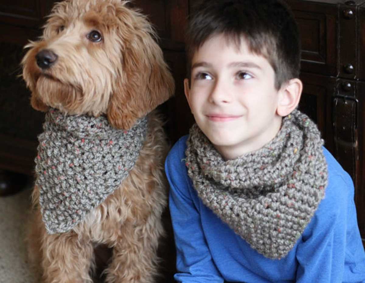 Dog scarf knitting pattern
