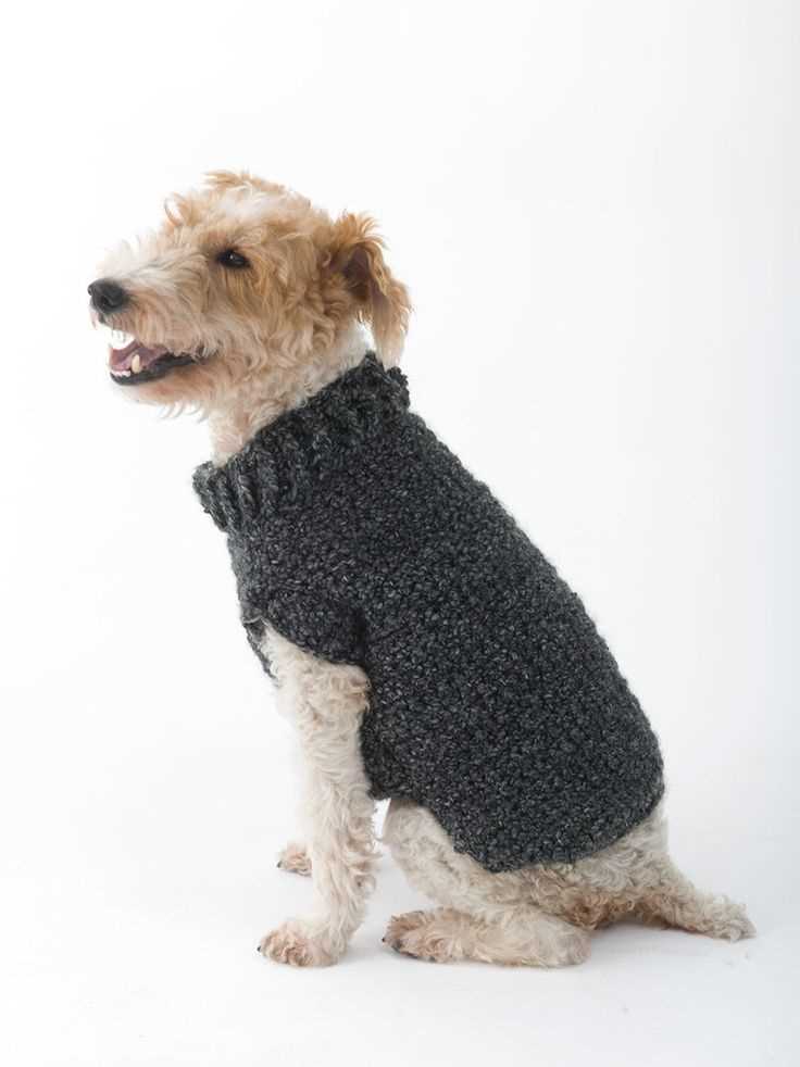 Dog sweater knitting pattern beginner