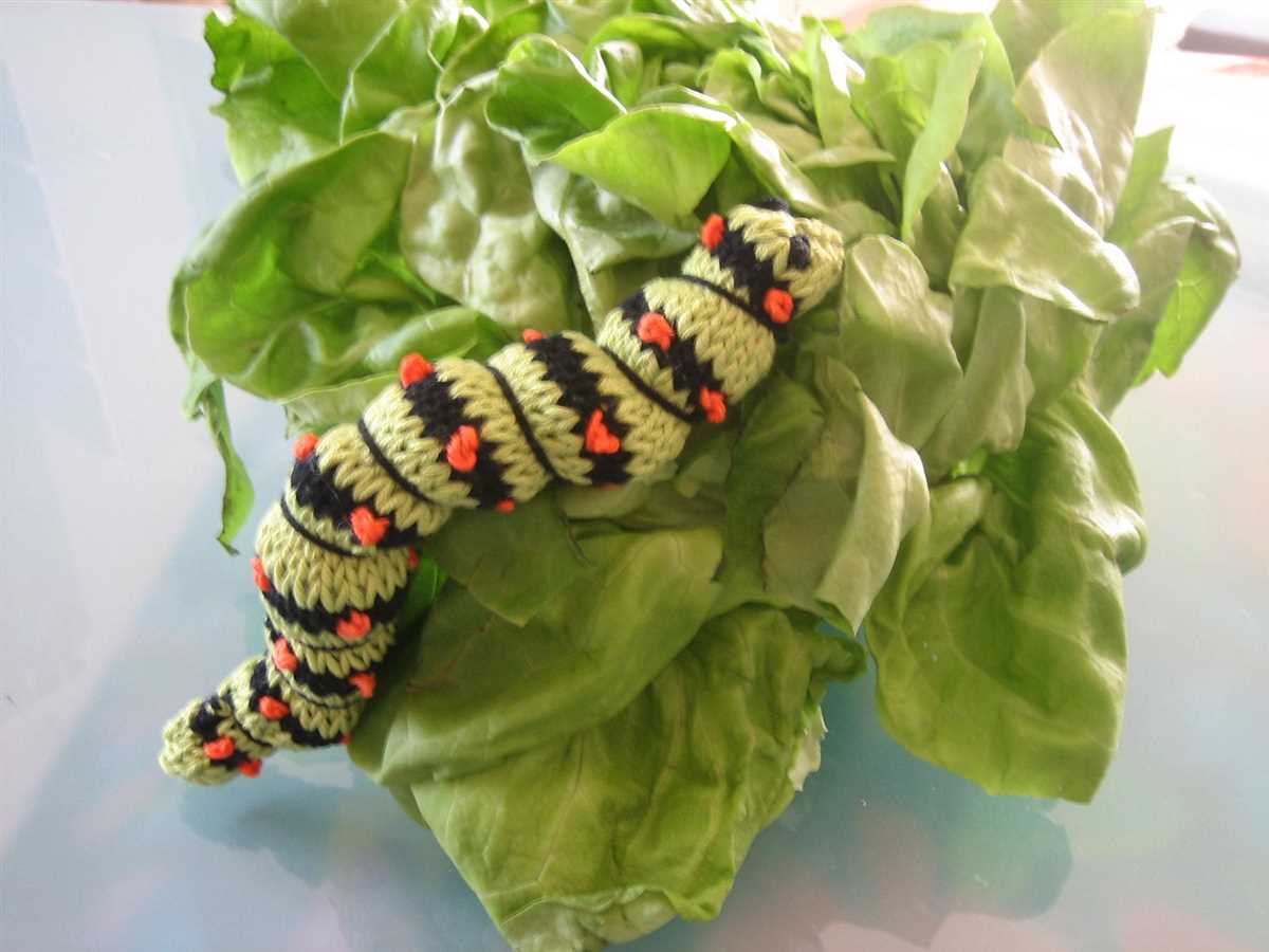 Knitted caterpillar pattern