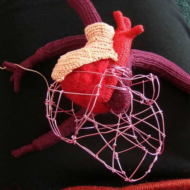 Anatomical heart knitting pattern