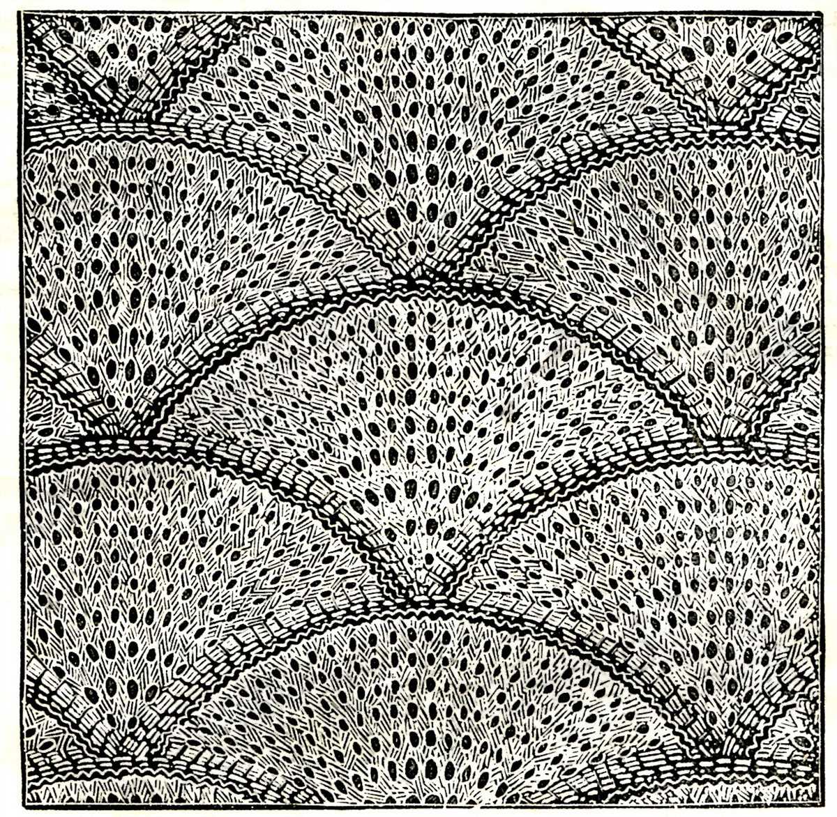 Antique knitting patterns free