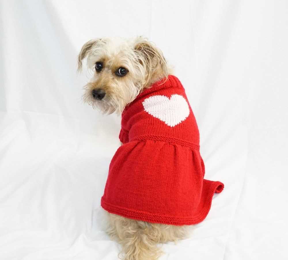 Beginner easy knit dog sweater patterns free