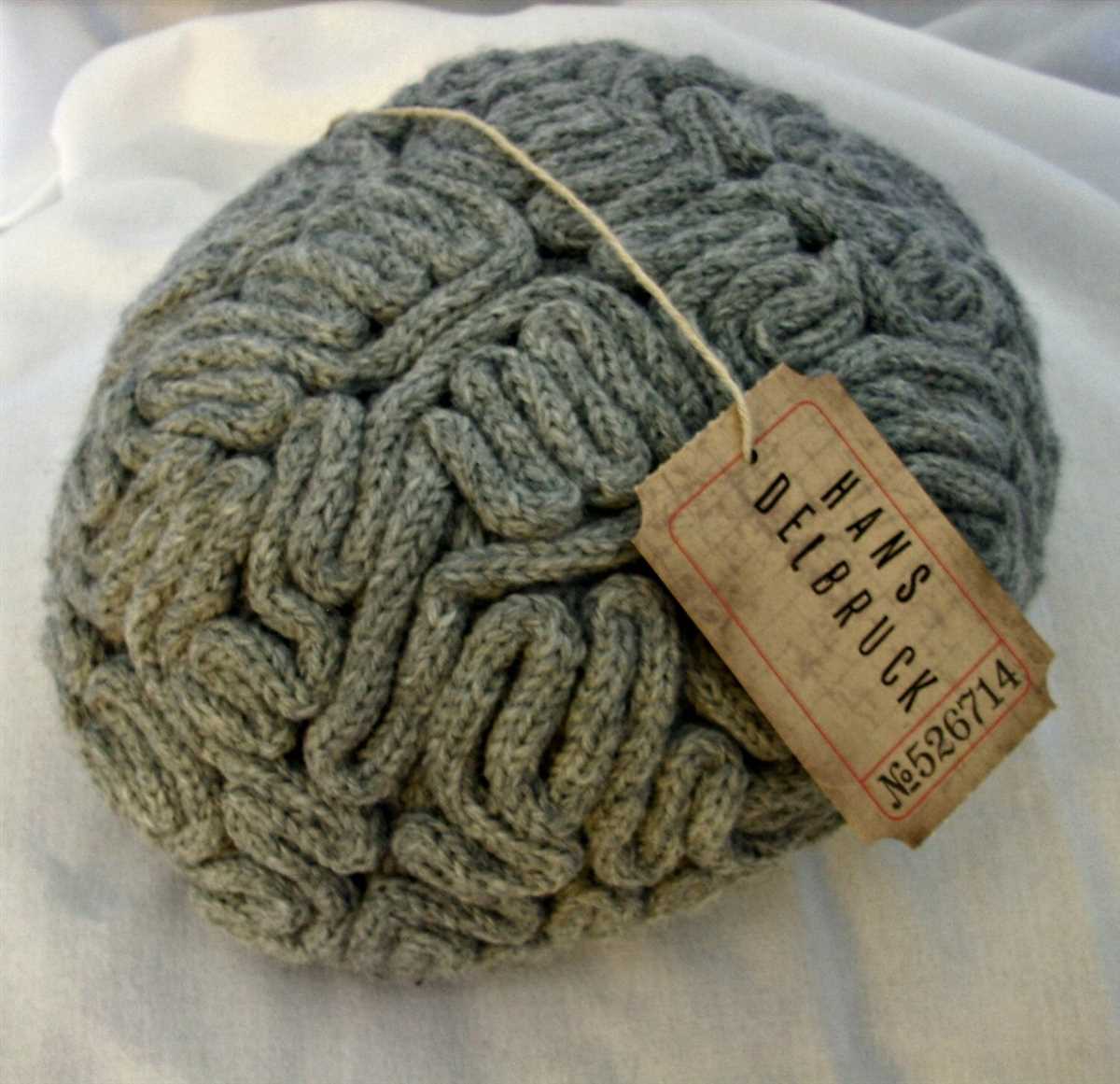 Brain knitting pattern