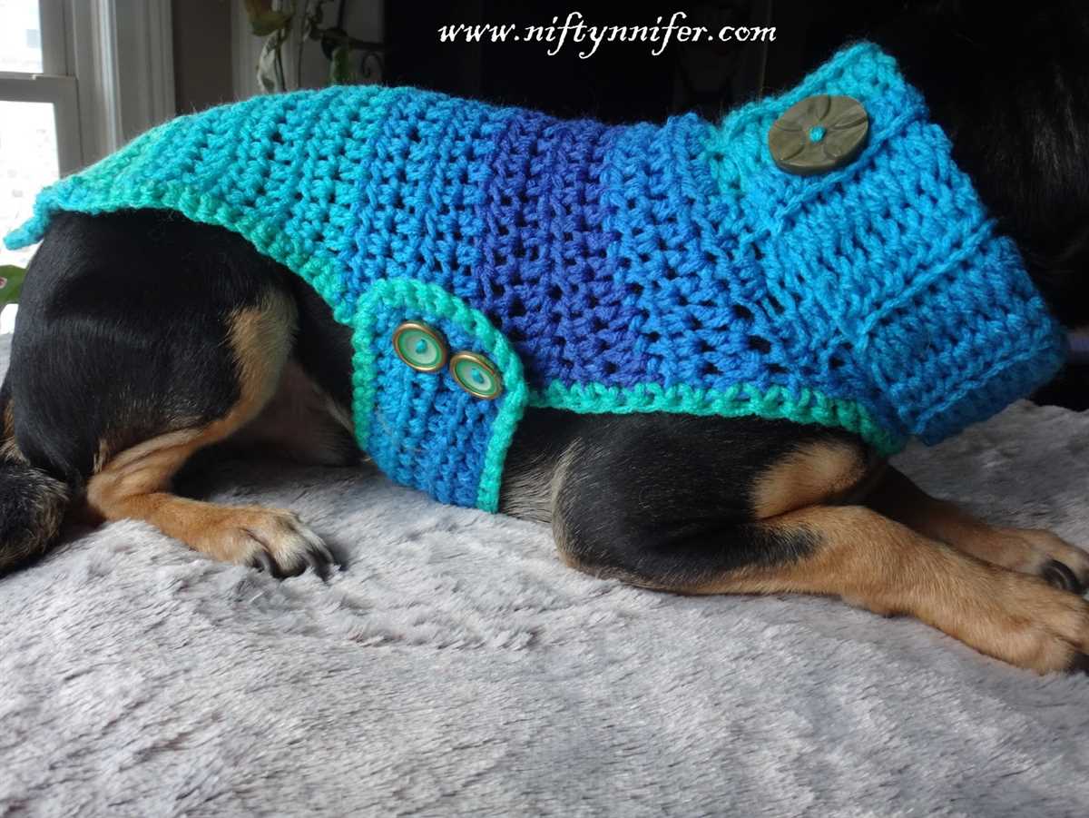 Chihuahua sweater knitting pattern free