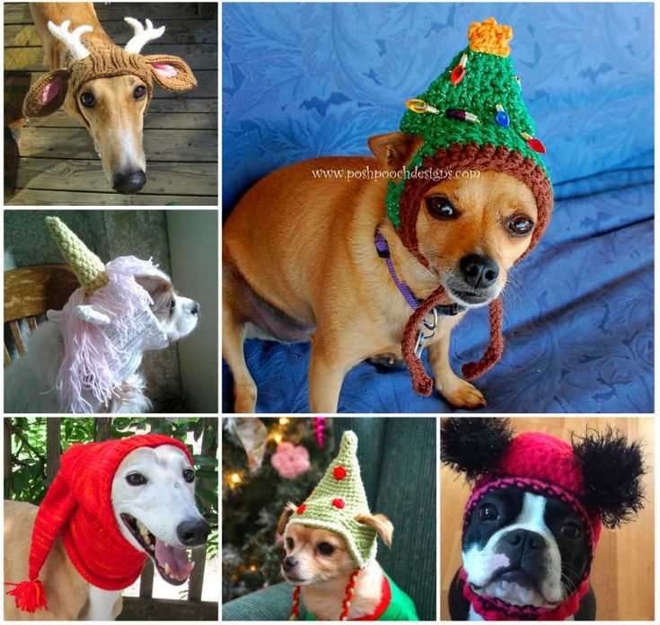 Christmas dog hat knitting pattern