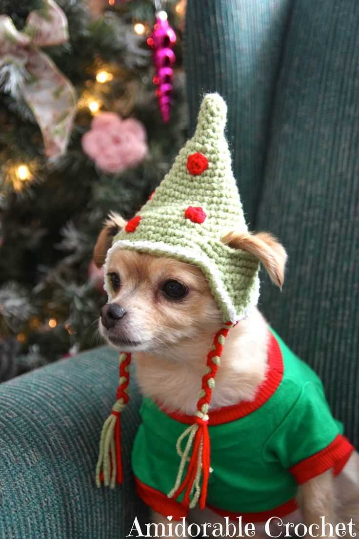 Christmas dog hat knitting pattern