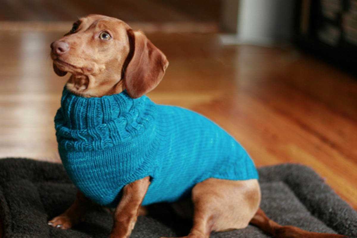 Dachshund jumper knitting pattern free