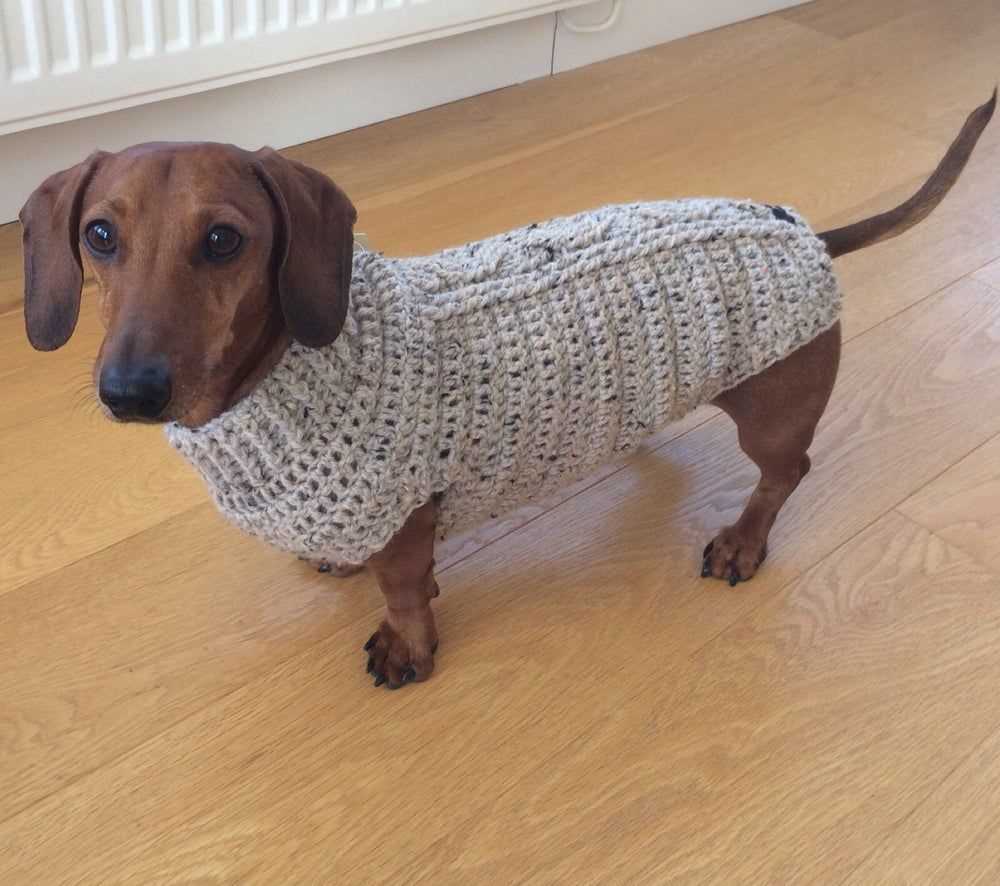 Dachshund jumper knitting pattern free