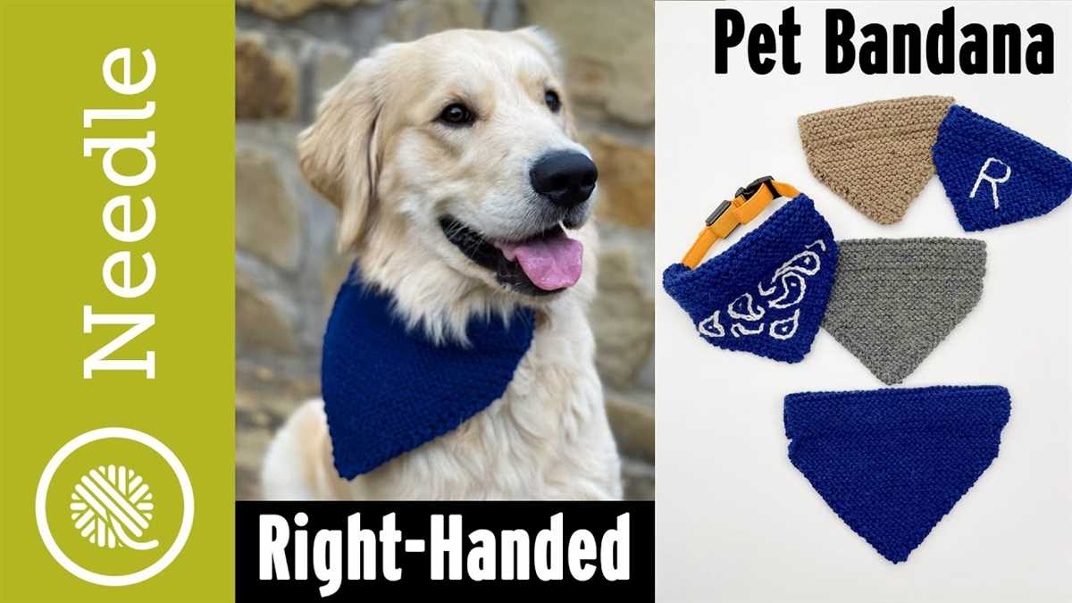 Create stylish dog bandanas with this free knitting pattern Dog bandana knitting pattern free