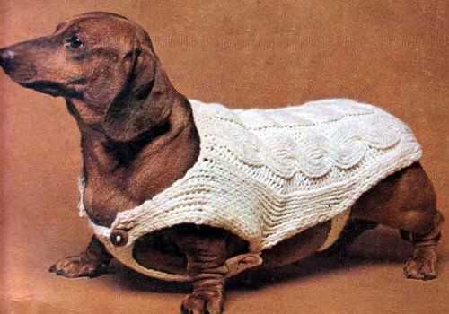 Dog coat knitting patterns to download