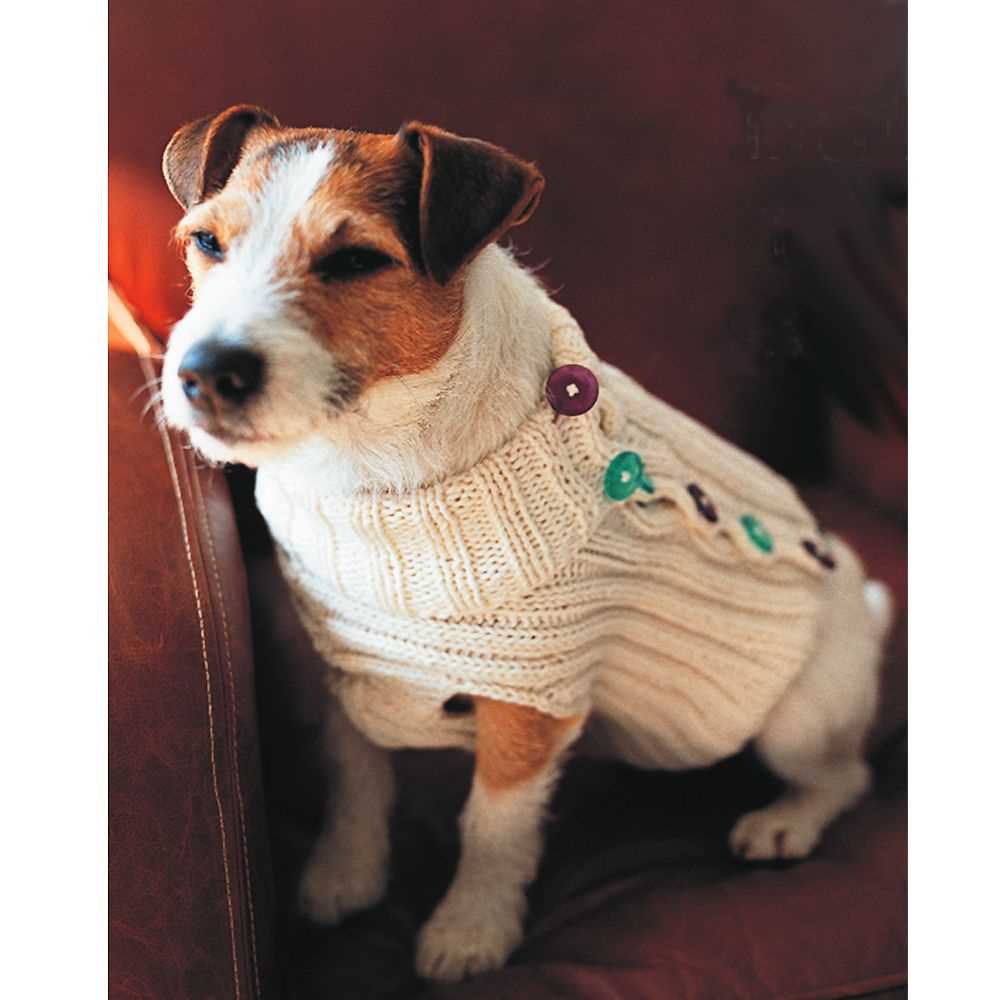 Dog coat knitting patterns to download
