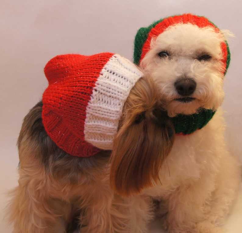 Dog hat knit pattern