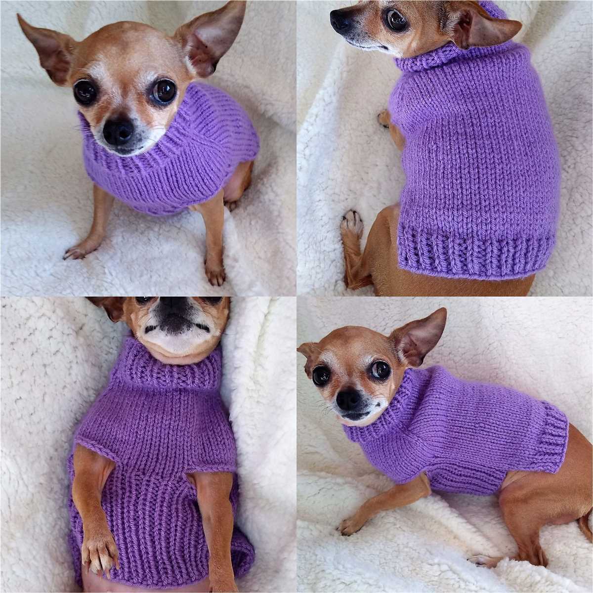 Dog sweater knitting pattern chihuahua