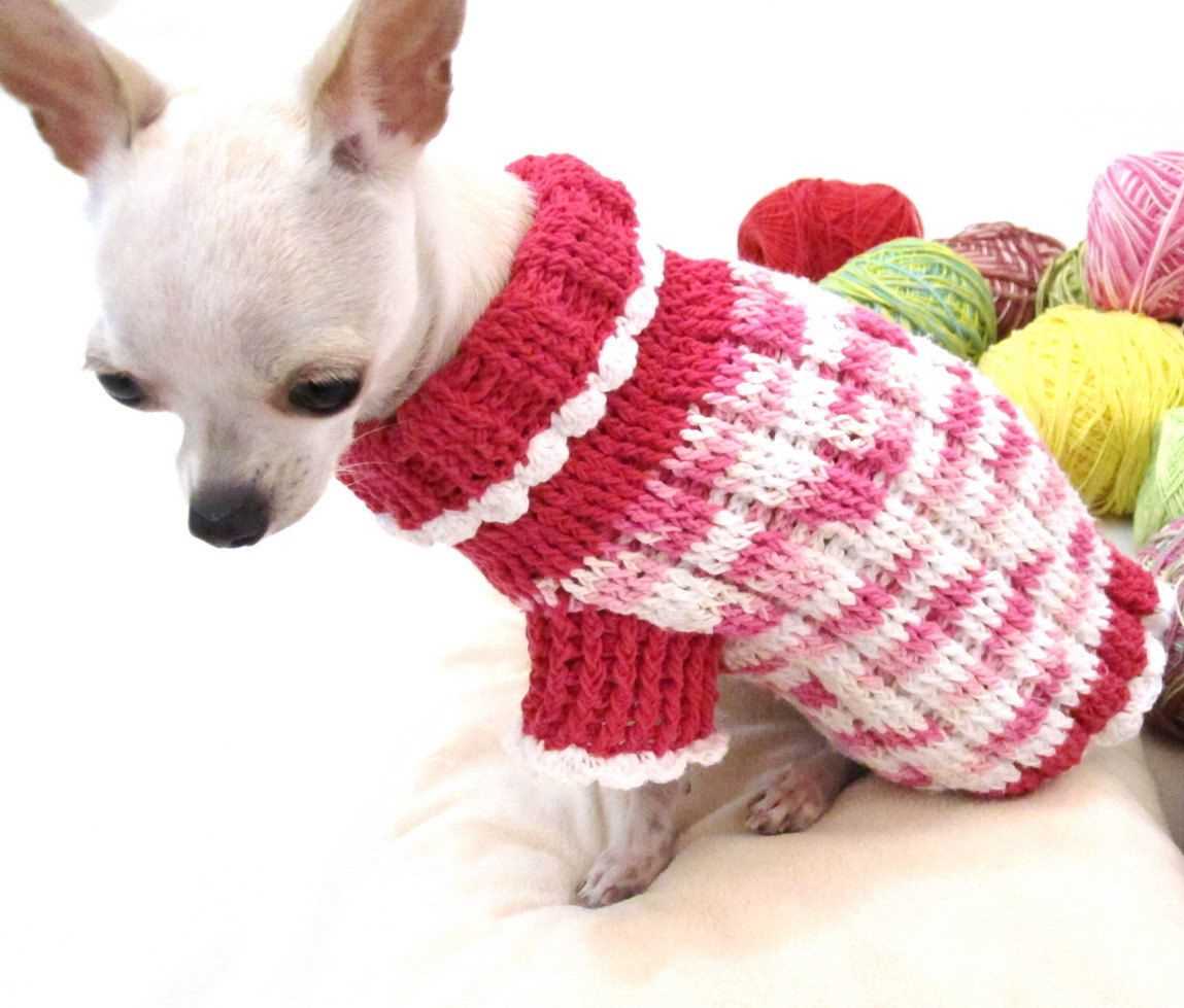 Dog sweater knitting pattern chihuahua