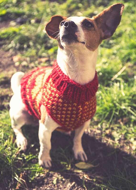 Dog xmas jumper knitting patterns