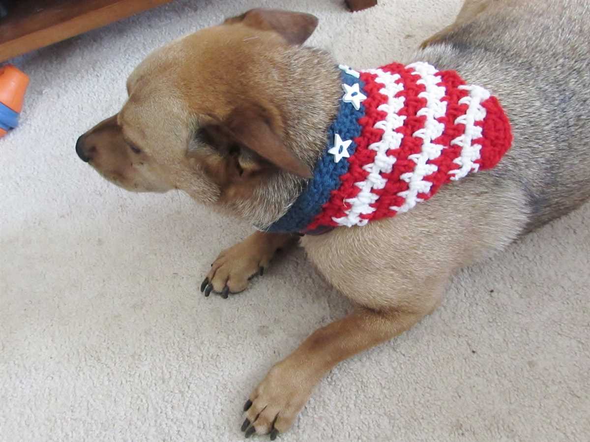 Dog bandana knitting pattern free