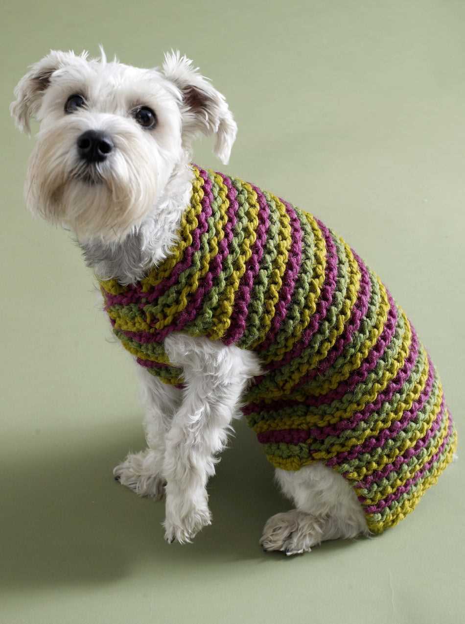 Dog coat knitting patterns to download