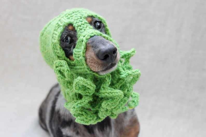 Dog hat knit pattern