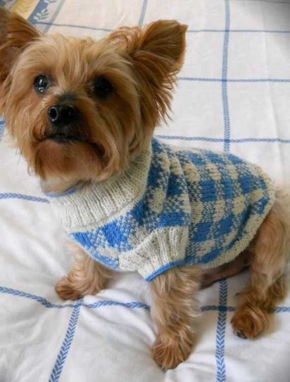 Dog jumper knitting pattern free uk