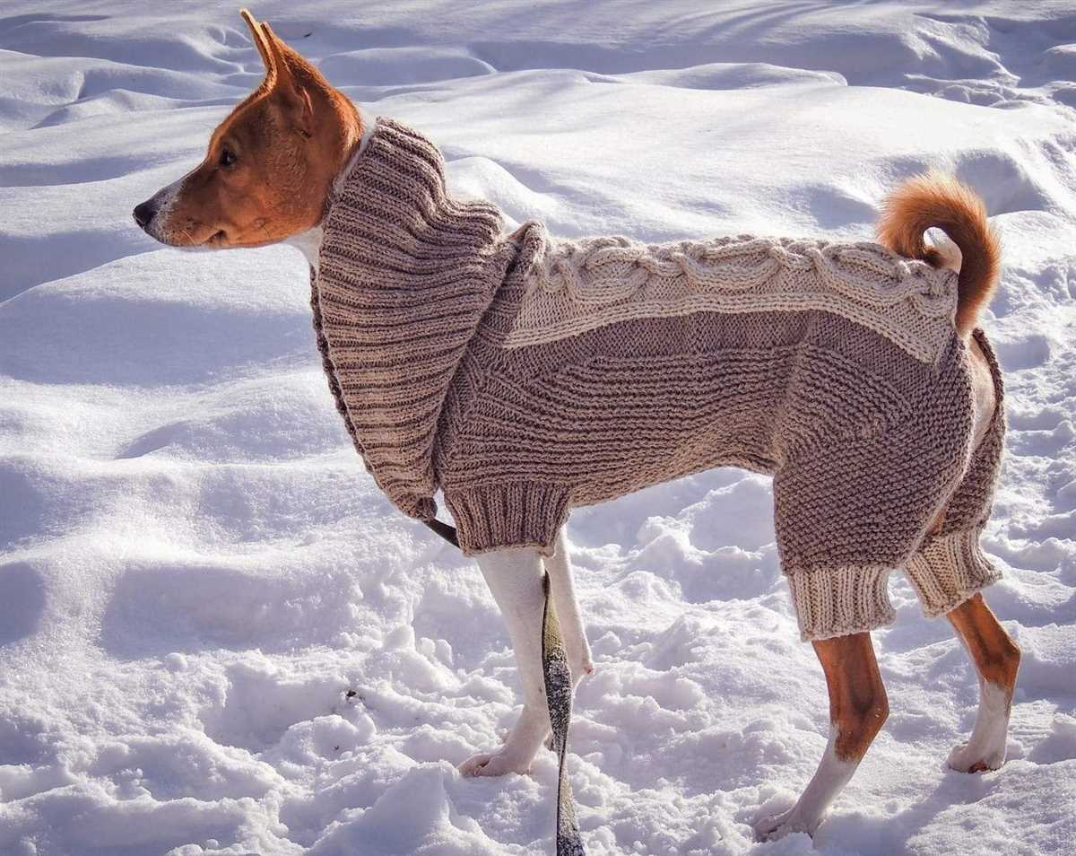 Dog sweater knitting pattern beginner