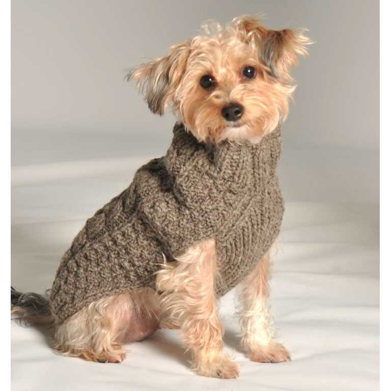 Dog sweater knitting pattern beginner