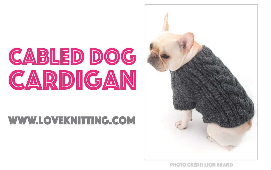 Easy knit dog coat patterns free