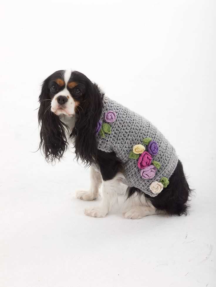 Simple Knitting Instructions for Making a Sweater for Your Dog Easy knitting pattern for dog sweater beginner