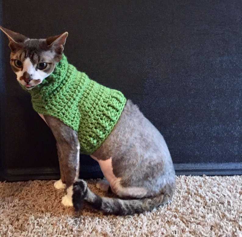 Free knitted cat sweater pattern