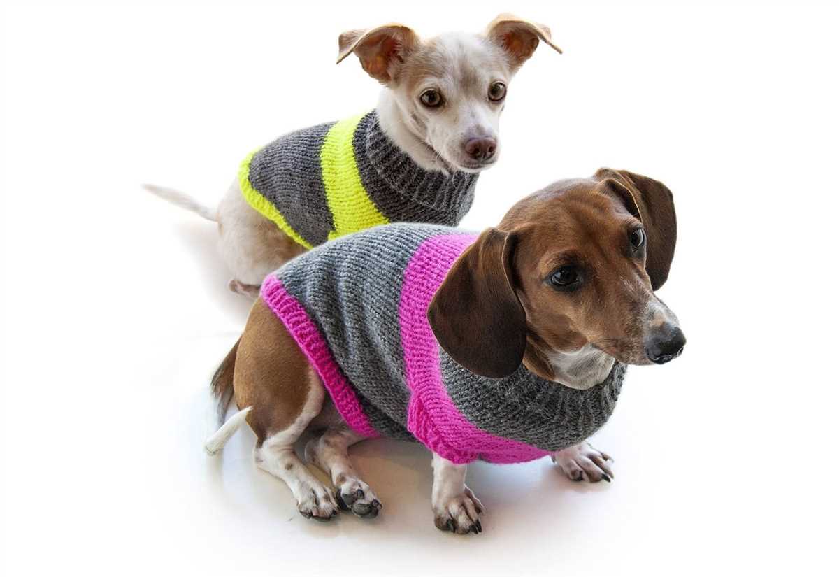 Free knitting pattern for dog coats