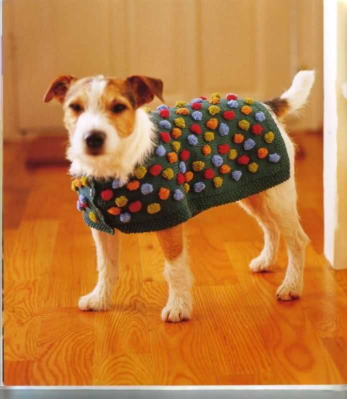 Stitch your way to stylish feline fashion with these complementary cat coat patterns Free knitting patterns for cat coats