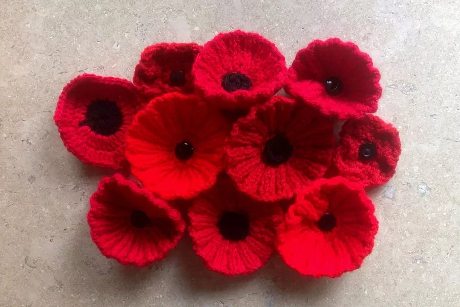Free poppy knitting pattern
