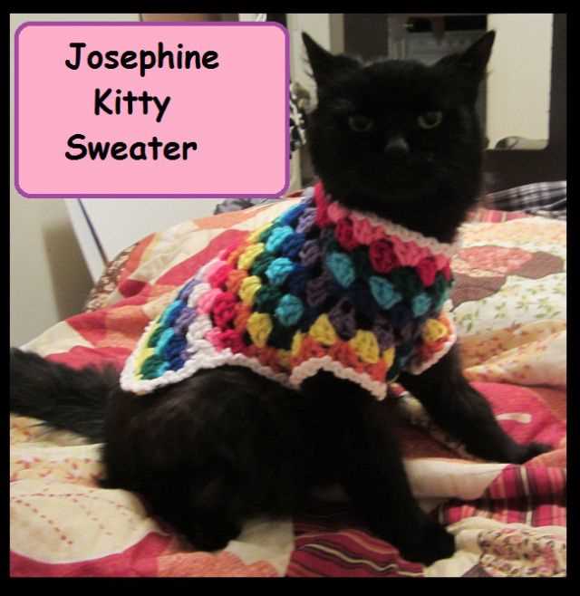 Free knitted cat sweater pattern
