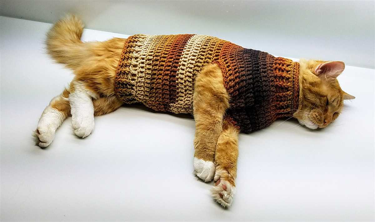 Free knitted cat sweater pattern