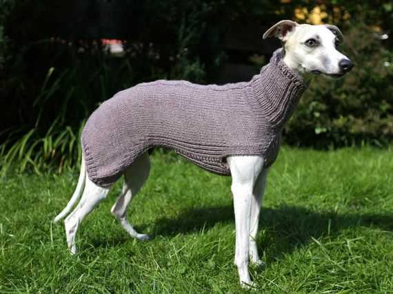 Greyhound jumper knitting pattern