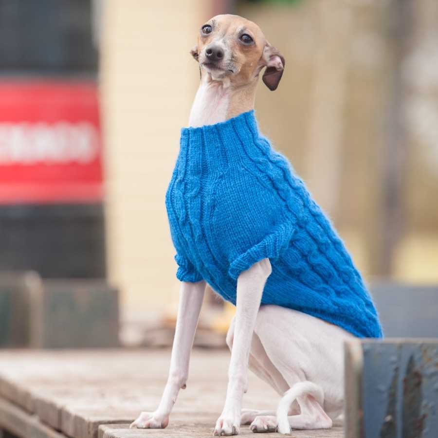 Greyhound jumper knitting pattern