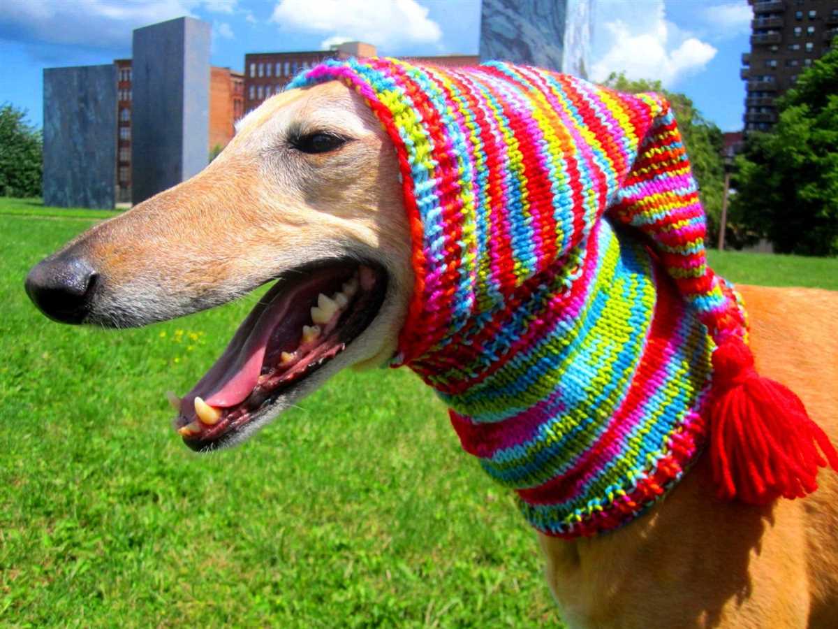 Hats for dogs knitting patterns