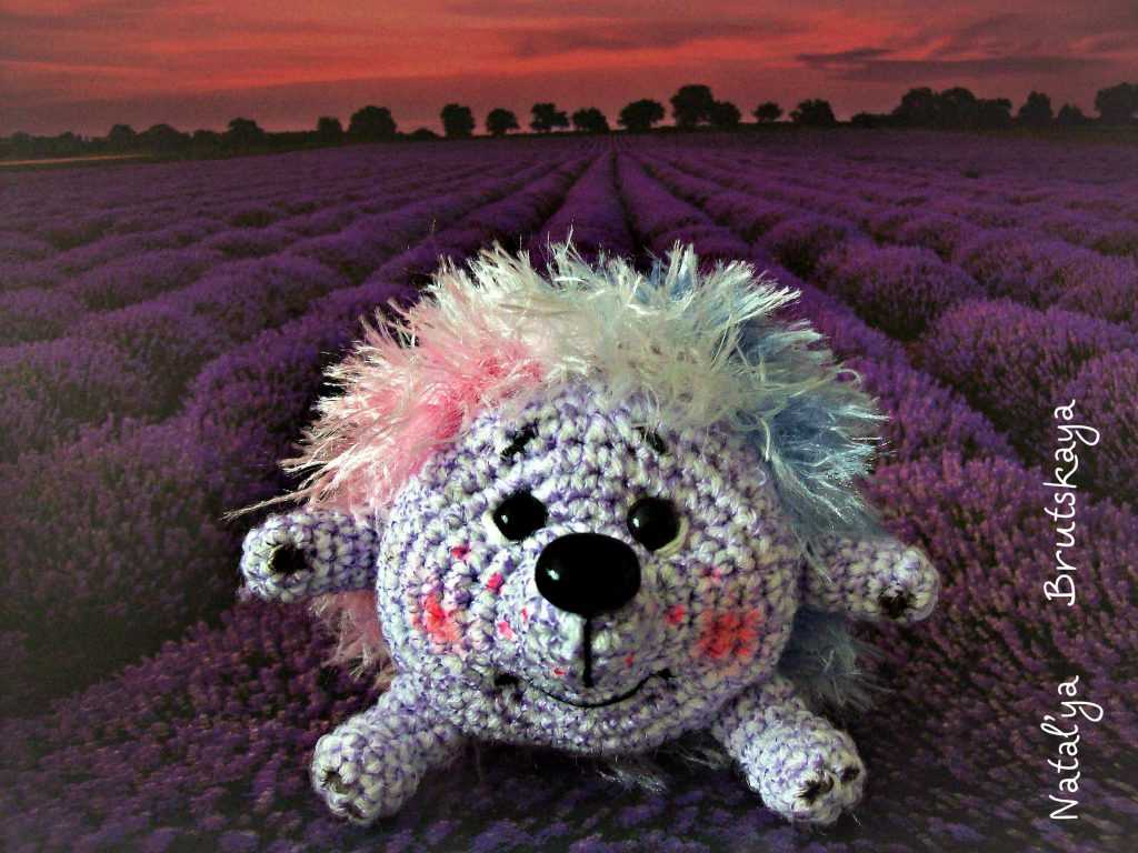 Hedgehog knitting pattern king cole