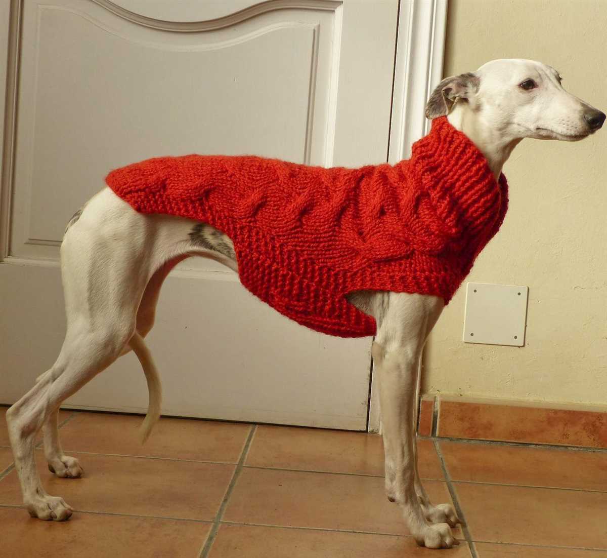 Italian greyhound knitting pattern