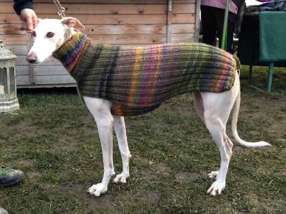 Italian greyhound knitting pattern