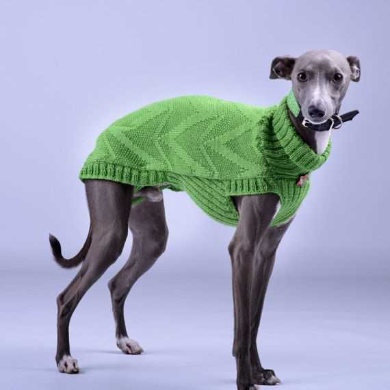 Italian greyhound knitting pattern