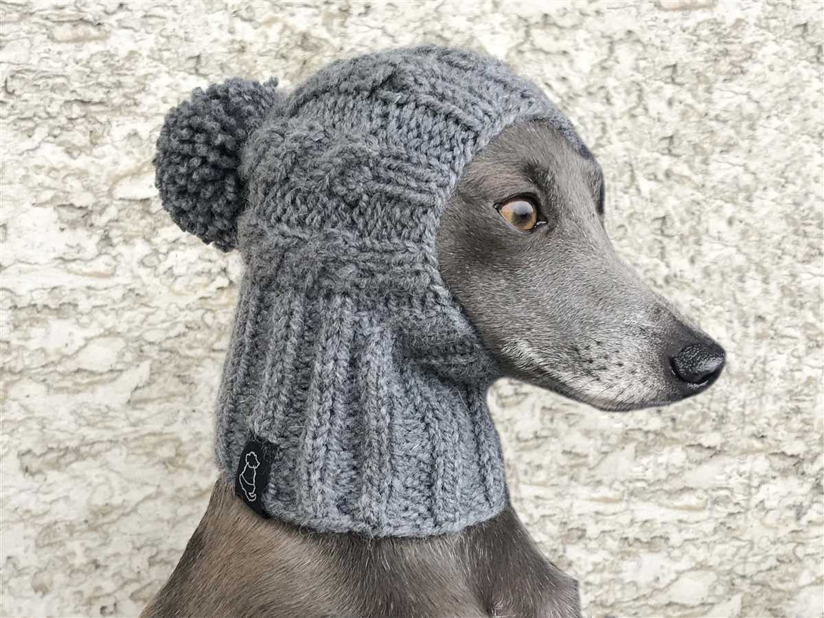 Knit hat for dog pattern