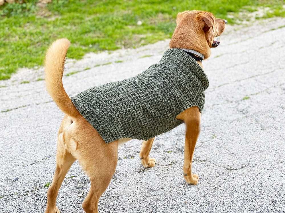 Knit dog jumper pattern