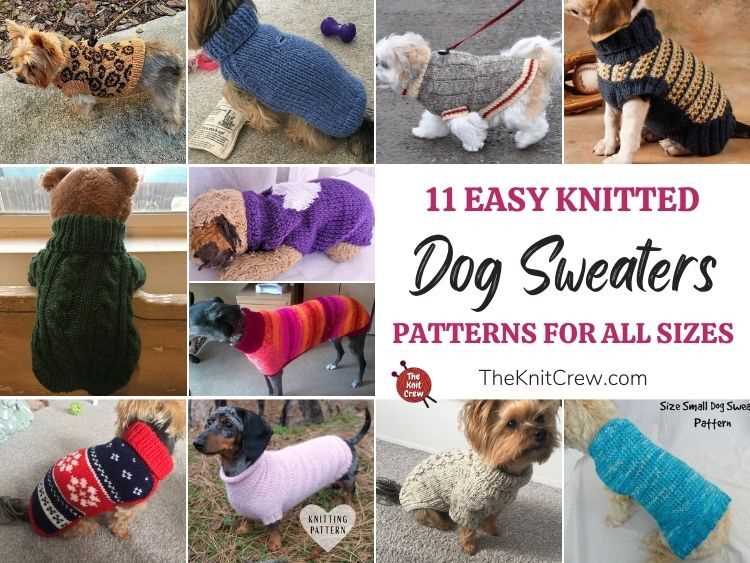 Knit dog jumper pattern