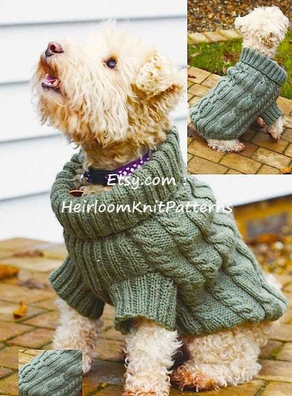 Knit dog jumper pattern