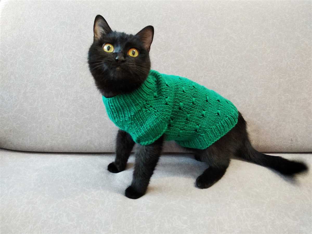 Knitted cat jumper pattern free